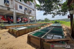 Satpol PP Kabupaten Landak manfaatkan lahan kantor untuk budidaya lele