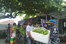 Lanal Melonguane bagikan panen sayur kepada masyarakat Miangas