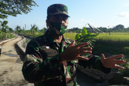 Kapendam Udayana : TMMD bantu sektor ekonomi di Desa Kertalangu