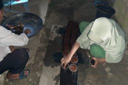 Wujudkan modernisasi produk gula aren Tamiang di tengah COVID-19
