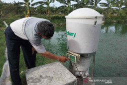 Berkat teknologi, pembudi daya lele Cirebon akui produksi meningkat