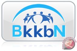 BKKBN sebut realisasi BOKB audit kasus stunting baru capai 29,2 persen