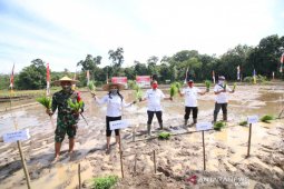 Karolin ajak masyarakat jadikan pertanian sebagai sumber ekonomi