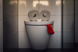 Dokter sarankan jangan lama-lama BAB di WC duduk