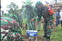 Danrem 102/Pjg menilai menanam pohon udara akan semakin bersih