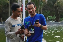 XL Axiata bangun solusi IoT tingkatkan kualitas budidaya ikan-udang