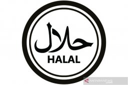 Minuman keras berlabel halal beredar di Indonesia? Ini faktanya