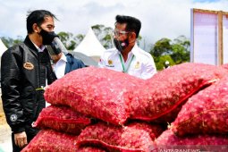 Mentan sebut "food estate" Humbahas jadi contoh korporasi hortikultura