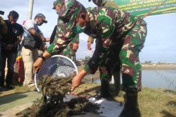 Begini cara  Korem 011/Lilawangsa menjaga ketahanan pangan ditengah pandemi COVID-19