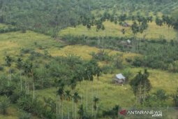 Mukomuko targetkan pembangunan embung tuntas November