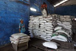 FKDB sosialisasikan batubara sebagai pupuk tingkatkan produktivitas