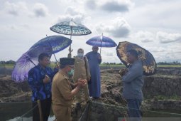 Dinas Perikanan Kalsel dukung budi daya ikan gabus