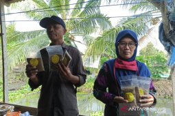 Pembudidaya ikan lele Kampung Kamal di Kukar produksi abon