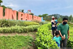 Pengunjung tetap dengan prtokol kesehatan di Kebun Raya Batam