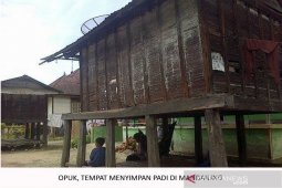Pandemi dan kearifan lokal Mandailing