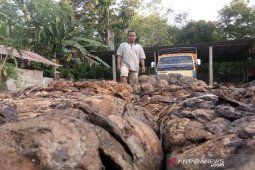 Harga karet di Tapanuli Selatan naik tipis