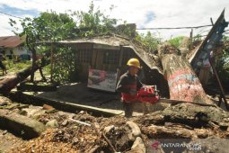 Pohon tumbang di Parigi dampak cuaca buruk