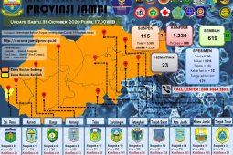 12 warga Merangin dinyatakan sembuh dari COVID-19