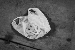 DLH: penggunaan kantong plastik di Jakarta turun 82 persen