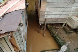 "Taradak" petani hst banyak rusak karena terjangan banjir