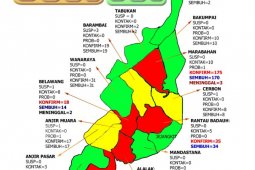 Pasien terpapar COVID-19 di Batola tersisa 17 orang