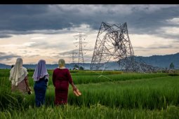 Menara listrik roboh di Batang