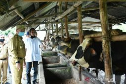 Gubernur Erzaldi pastikan program kredit usaha rakyat berjalan baik