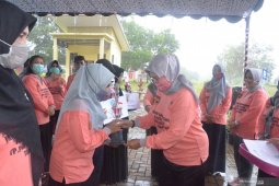 PKK Tanah Laut minta kader berperan bantu pencegahan stunting