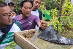 Permintaan pasar madu lebah trigona tinggi