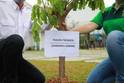 KJIE tanami trembesi di galeri pemasaran Rolling Hill Karawang