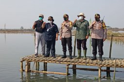 Menteri LHK pantau progres penanaman Mangrove di Kabupaten Serang