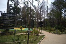 Pohon besar di bangunan Galeri Geopark Merangin meranggas terancam mati