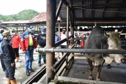 Gubernur: UPTD IBI Saree berkontribusi besar terhadap PAD