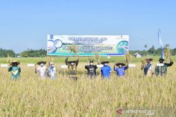 Desa Mandala, Telaga Langsat, dicanangkan sebagai desa agrowisata edukasi