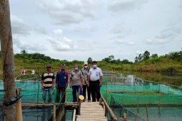 Indocement bantu petambak air tawar manfaatkan lokasi eks tambang