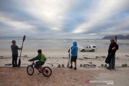 Afrika Selatan targetkan vaksin COVID-19 pada Februari