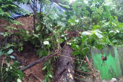 Sekkot Ambon: La Nina harus diantisipasi sejak dini