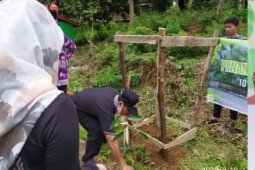 Universitas Jambi gulirkan manajamen pohon buah asuh