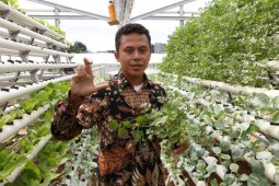 "XL Smart Hydroponics" solusi IoT untuk urban farming