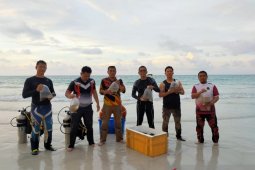 Polres Bangka Barat tebar "anemon" di Pantai Jerangkat