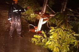 Angin kencang landa Putussibau, listrik padam total