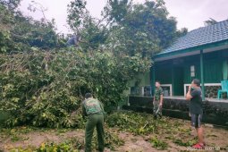 Posko Pilkada milik Kodim Putussibau ditimpa pohon besar