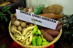 Pangan lokal bisa jadi solusi atasi kerentanan sistem pangan akibat pandemi dan perubahan iklim