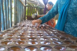 Produsen gula kelapa di Penajam kesulitan penuhi pasar