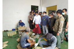 Tinjau pabrik Kratom Wamen LHK sebut Kratom perlu dikaji secara detail