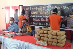 Polesta Deli Serdang gagalkan peredaran 26 kilo ganja asal Aceh