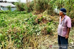 Kata orang pintar, pelaku perampokan masih bersembunyi disini