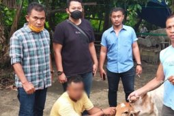 Spesialis maling lembu di Serbelawan Simalungun diringkus polisi