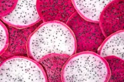 Manfaat buah naga, cegah anemia sampai jaga kesehatan mata