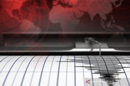 Gempa magnitudo 5,5 di Laut Flores tidak berpotensi tsunami